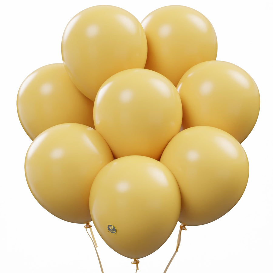 10-Inch Matte Biodegradable Latex Balloons for Parties