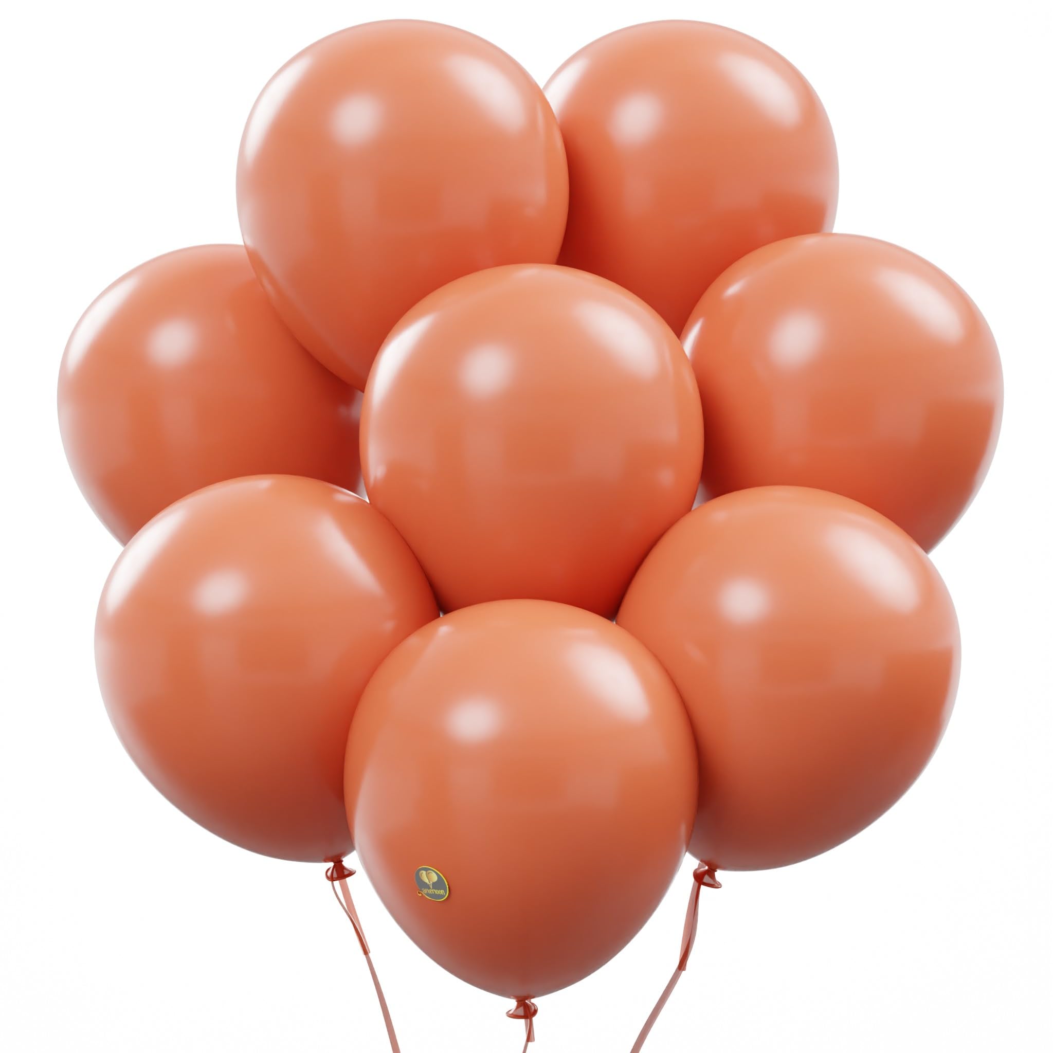 10-Inch Matte Biodegradable Latex Balloons for Parties
