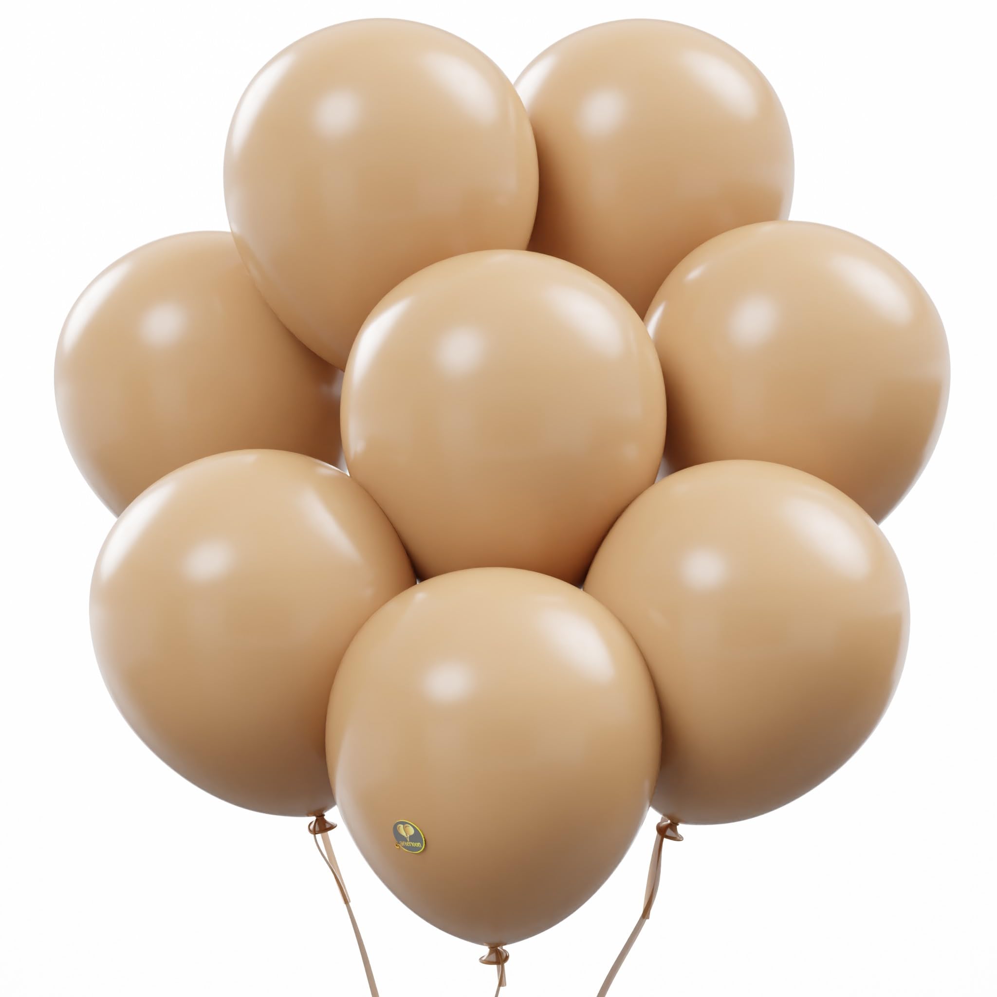 10-Inch Matte Biodegradable Latex Balloons for Parties