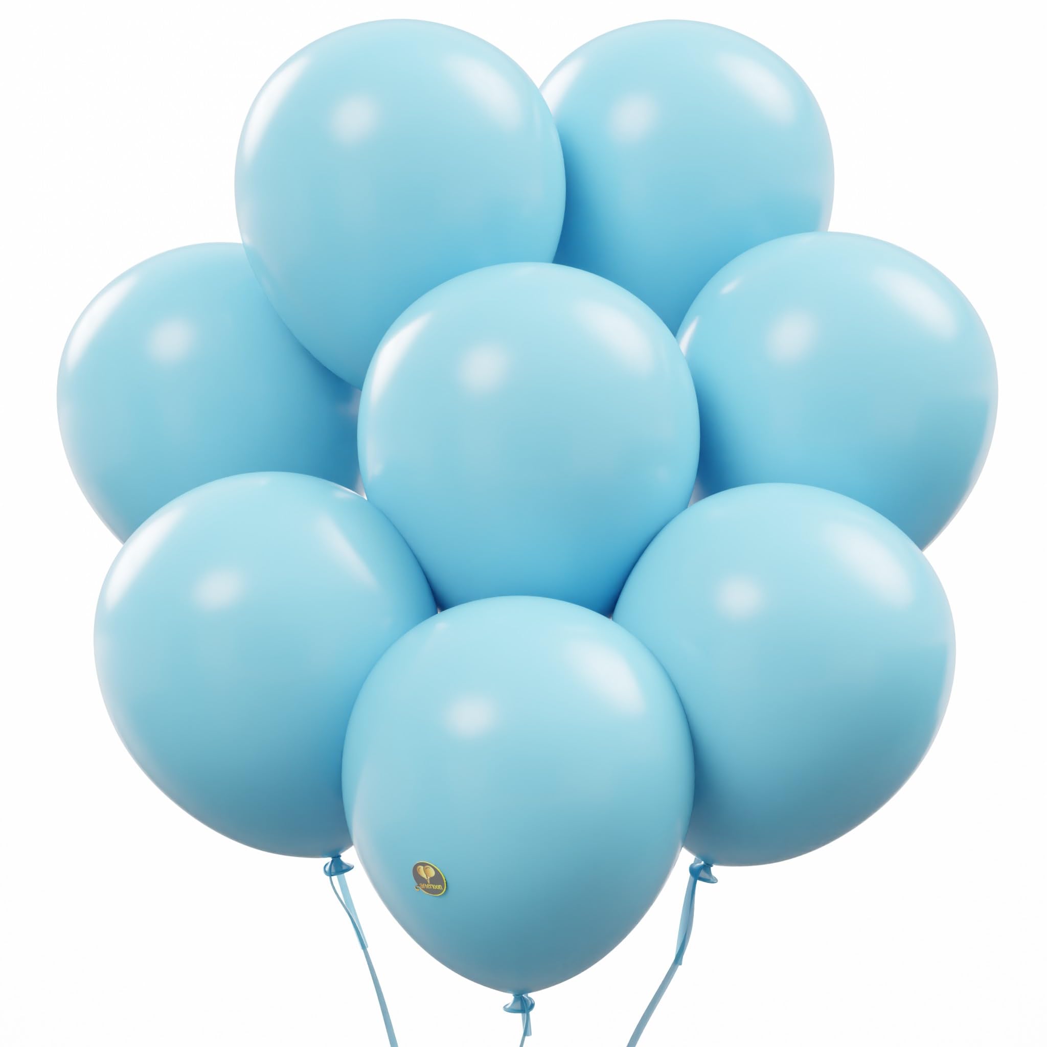 10-Inch Matte Biodegradable Latex Balloons for Parties