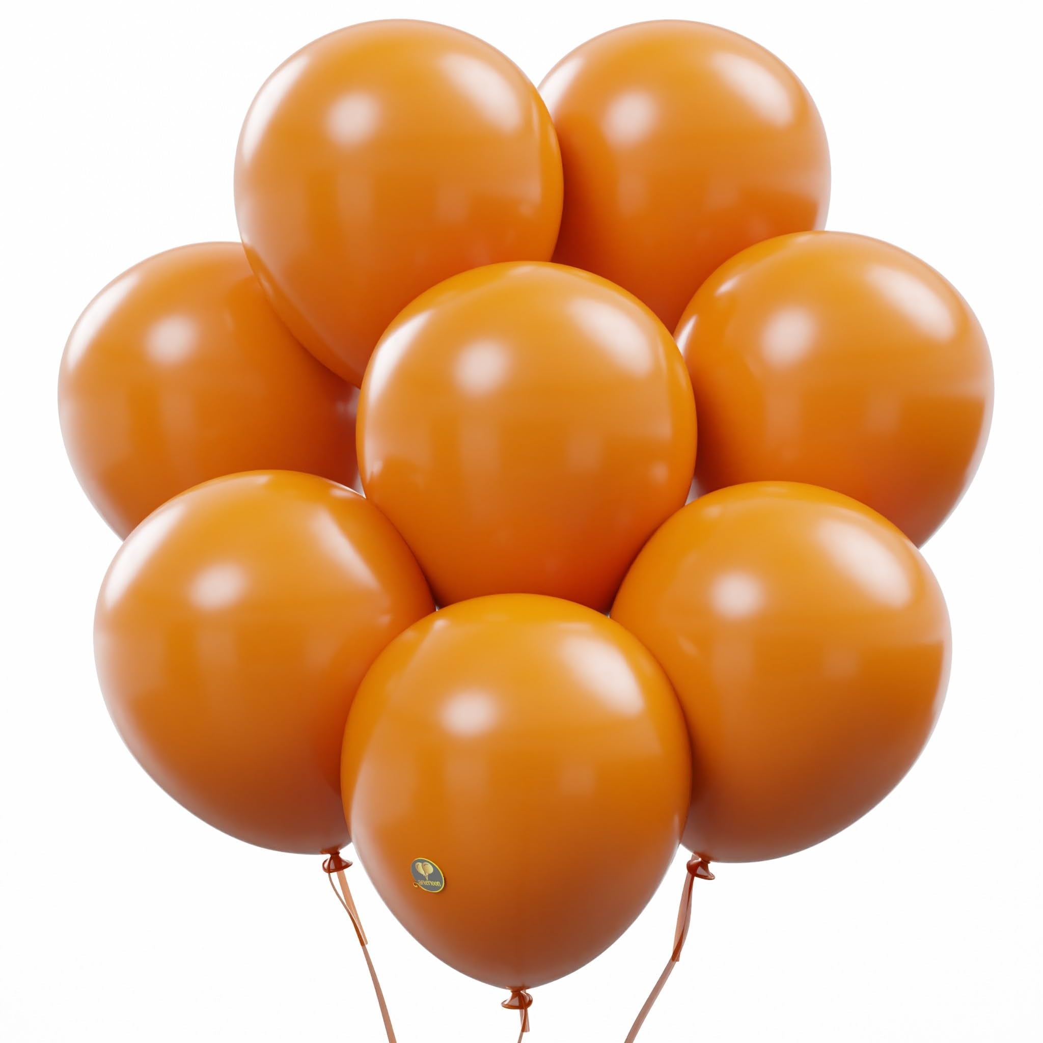 10-Inch Matte Biodegradable Latex Balloons for Parties