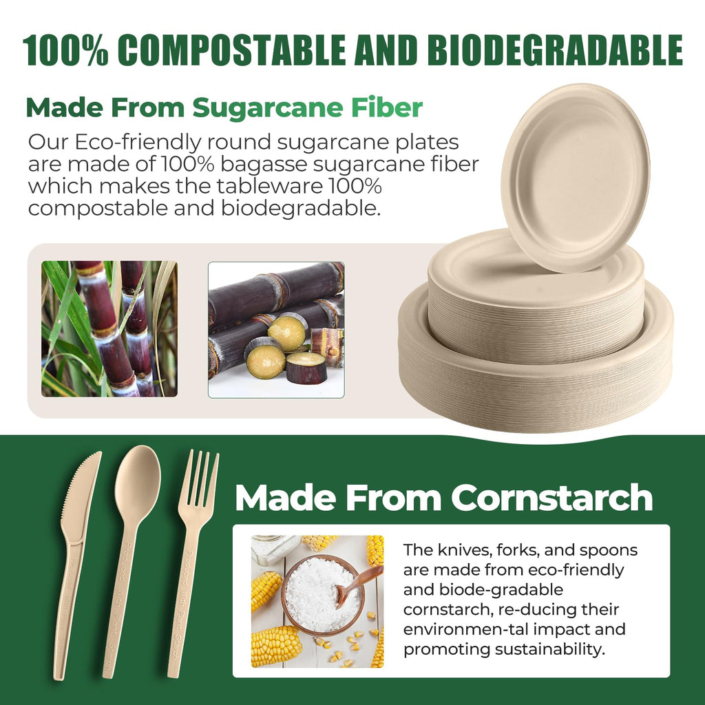 250-Piece Biodegradable Disposable Paper Dinnerware Set
