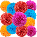 We Moment Hanging Tissue Paper Pom Poms for Party Ceiling Wall Tissue Flowers Decorations