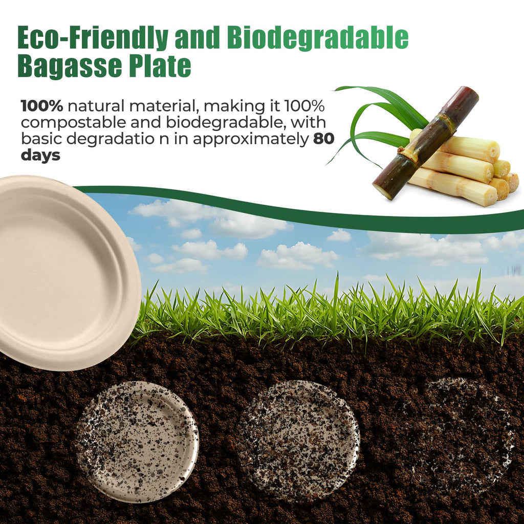 250-Piece Biodegradable Disposable Paper Dinnerware Set