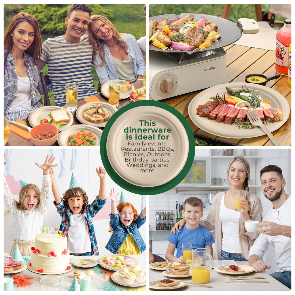 250-Piece Biodegradable Disposable Paper Dinnerware Set